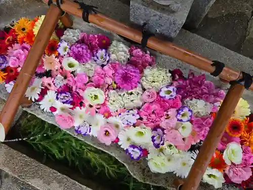 田間神社(千葉県)