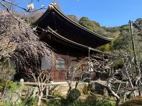 瑞泉寺の{uncategorized: "未分類", other: "その他", undefined: "問題あり", building: "その他建物", grave: "お墓", sacred_gate: "鳥居", guardian: "狛犬", statue: "像", buddha: "仏像", history: "歴史", nature: "自然", garden: "庭園", animal: "動物", pagoda: "塔", temizu: "手水舎", mountain_gate: "山門・神門", sanctuary: "本殿・本堂", subordinate: "末社・摂社", art: "芸術", scenery: "景色", jizo: "地蔵", ema: "絵馬", goshuin: "御朱印", omikuji: "おみくじ", items: "授与品その他", amulet: "お守り", goshuincho: "御朱印帳", eats: "食事", festival: "お祭り", votive_dance: "神楽", shichigosan: "七五三参", wedding: "結婚式", experience: "体験その他", initially: "初詣", around: "周辺", anti_infection: "感染症対策"}