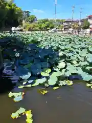 法華経寺(千葉県)