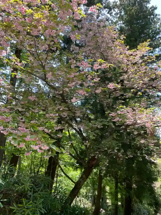 成相寺(京都府)