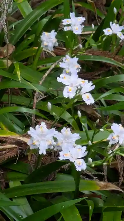 椎尾神社の自然