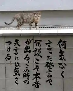 専念寺(大阪府)(2022年05月27日(金) 19時43分11秒投稿)