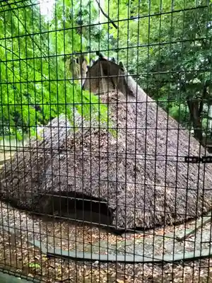 代々木八幡宮(東京都)