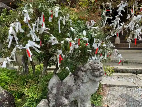 賀蘇山神社の狛犬