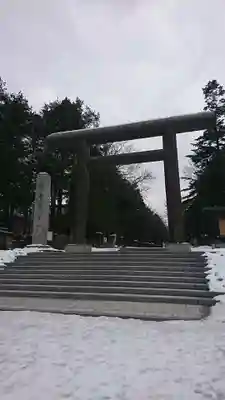 北海道神宮の鳥居