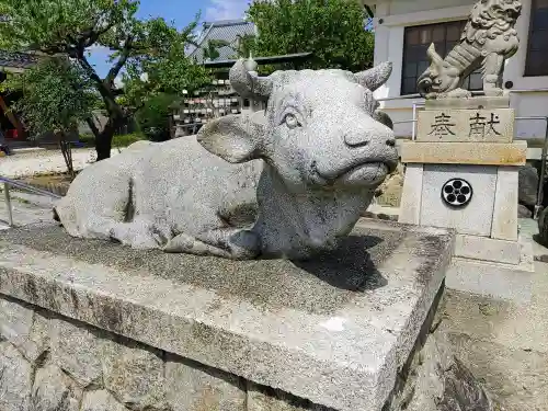 天満宮（常普請出世天満宮）の狛犬