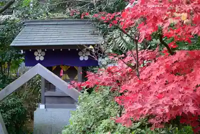 阿佐ヶ谷神明宮の末社・摂社