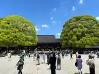 明治神宮(東京都)