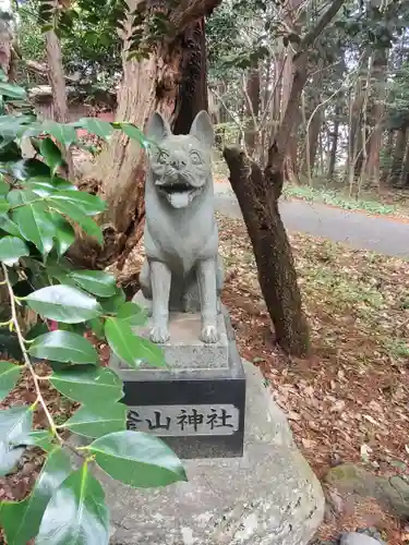 釜山神社の狛犬