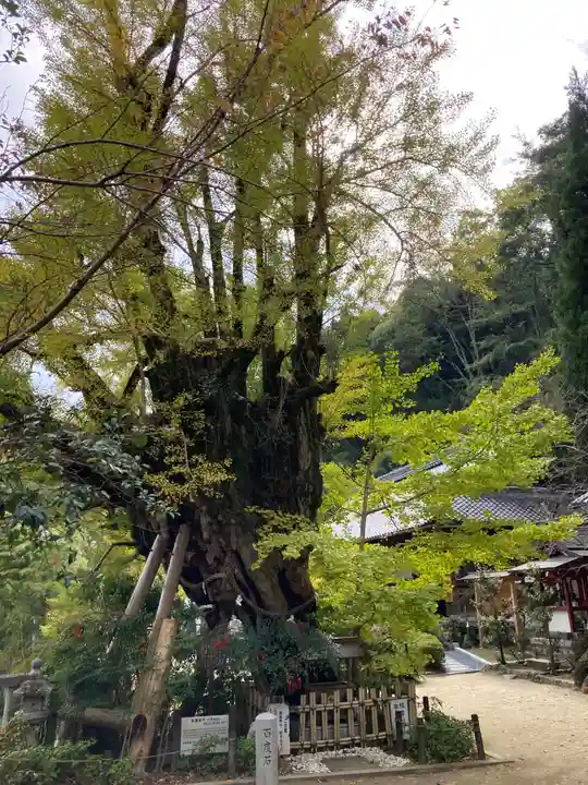 葛城一言主神社のその他建物