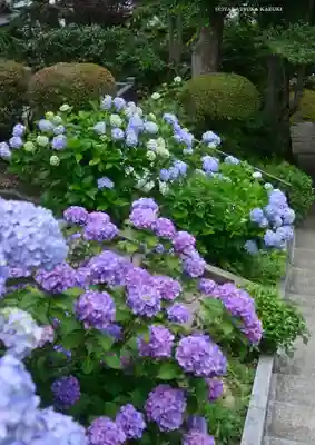 妙楽寺(神奈川県)