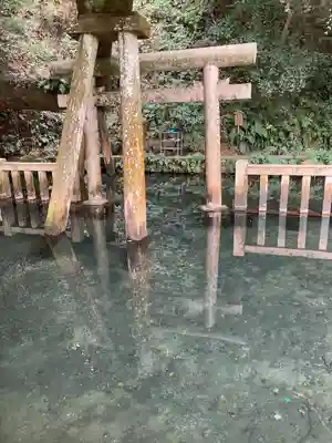 鹿島神宮(茨城県)