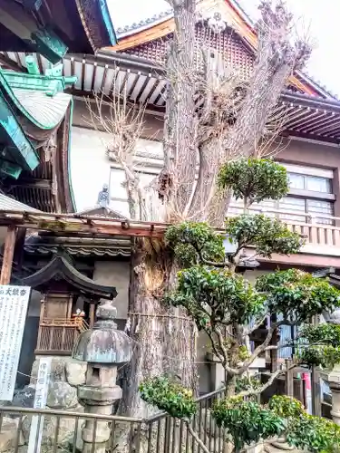 松山神社の自然