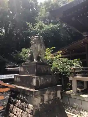 大宮八幡宮の狛犬