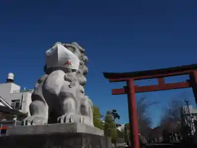 鶴岡八幡宮の狛犬