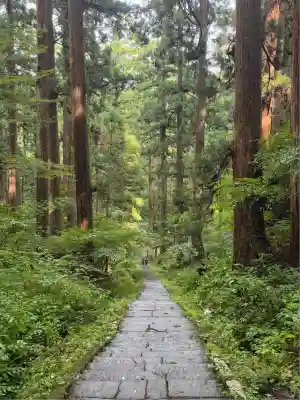 羽黒山五重塔(出羽三山神社)(山形県)