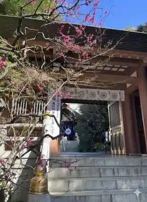 東京大神宮(東京都)