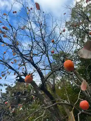 伊勢の国 四天王寺(三重県)