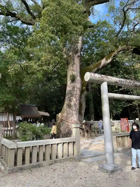 伊弉諾神宮(兵庫県)