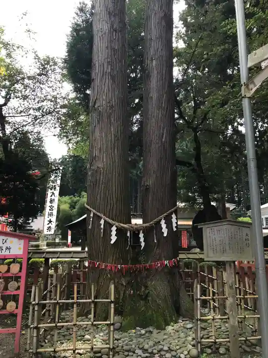 櫛引八幡宮(青森県)