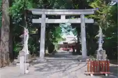 武蔵野八幡宮の鳥居