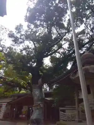 座間神社(神奈川県)