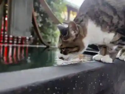 平等寺（因幡堂）(京都府)