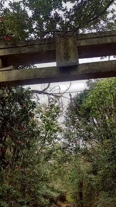 木華佐久耶比咩神社(岡山県)
