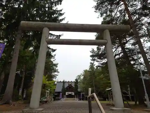 上川神社の鳥居