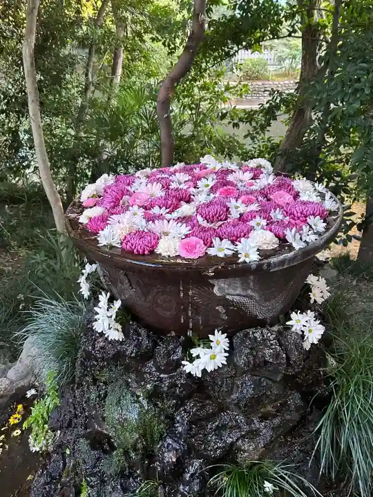 武蔵一宮氷川神社(埼玉県)