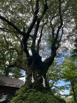 熊野皇大神社(長野県)