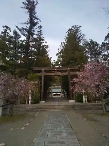 山梨縣護國神社の鳥居