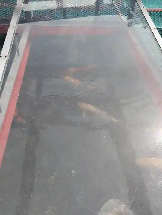 難波大社 生國魂神社の{uncategorized: "未分類", other: "その他", undefined: "問題あり", building: "その他建物", grave: "お墓", sacred_gate: "鳥居", guardian: "狛犬", statue: "像", buddha: "仏像", history: "歴史", nature: "自然", garden: "庭園", animal: "動物", pagoda: "塔", temizu: "手水舎", mountain_gate: "山門・神門", sanctuary: "本殿・本堂", subordinate: "末社・摂社", art: "芸術", scenery: "景色", jizo: "地蔵", ema: "絵馬", goshuin: "御朱印", omikuji: "おみくじ", items: "授与品その他", amulet: "お守り", goshuincho: "御朱印帳", eats: "食事", festival: "お祭り", votive_dance: "神楽", shichigosan: "七五三参", wedding: "結婚式", experience: "体験その他", initially: "初詣", around: "周辺", anti_infection: "感染症対策"}