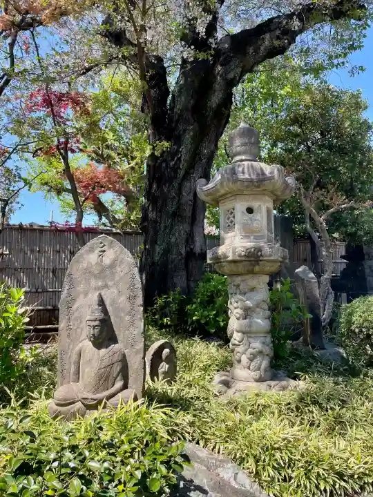 実相院の{uncategorized: "未分類", other: "その他", undefined: "問題あり", building: "その他建物", grave: "お墓", sacred_gate: "鳥居", guardian: "狛犬", statue: "像", buddha: "仏像", history: "歴史", nature: "自然", garden: "庭園", animal: "動物", pagoda: "塔", temizu: "手水舎", mountain_gate: "山門・神門", sanctuary: "本殿・本堂", subordinate: "末社・摂社", art: "芸術", scenery: "景色", jizo: "地蔵", ema: "絵馬", goshuin: "御朱印", omikuji: "おみくじ", items: "授与品その他", amulet: "お守り", goshuincho: "御朱印帳", eats: "食事", festival: "お祭り", votive_dance: "神楽", shichigosan: "七五三参", wedding: "結婚式", experience: "体験その他", initially: "初詣", around: "周辺", anti_infection: "感染症対策"}