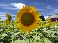 満願寺(千葉県)