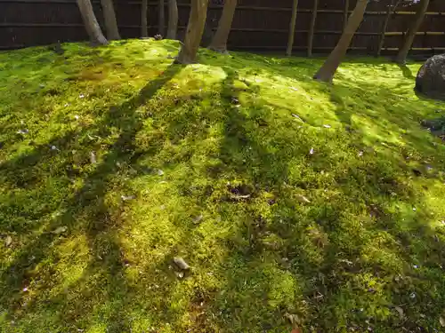 鶴岡八幡宮の自然