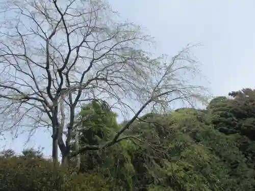 安國論寺（安国論寺）の自然