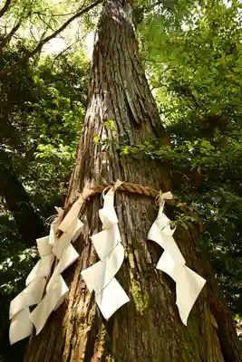 石上神宮(奈良県)