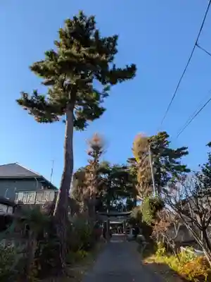 田端神社(東京都)