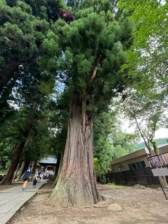 河口浅間神社(山梨県)