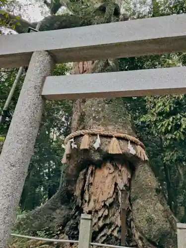 松阪神社の{uncategorized: "未分類", other: "その他", undefined: "問題あり", building: "その他建物", grave: "お墓", sacred_gate: "鳥居", guardian: "狛犬", statue: "像", buddha: "仏像", history: "歴史", nature: "自然", garden: "庭園", animal: "動物", pagoda: "塔", temizu: "手水舎", mountain_gate: "山門・神門", sanctuary: "本殿・本堂", subordinate: "末社・摂社", art: "芸術", scenery: "景色", jizo: "地蔵", ema: "絵馬", goshuin: "御朱印", omikuji: "おみくじ", items: "授与品その他", amulet: "お守り", goshuincho: "御朱印帳", eats: "食事", festival: "お祭り", votive_dance: "神楽", shichigosan: "七五三参", wedding: "結婚式", experience: "体験その他", initially: "初詣", around: "周辺", anti_infection: "感染症対策"}