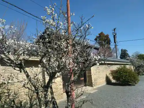 天龍寺(京都府)