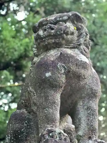 北口本宮冨士浅間神社の狛犬