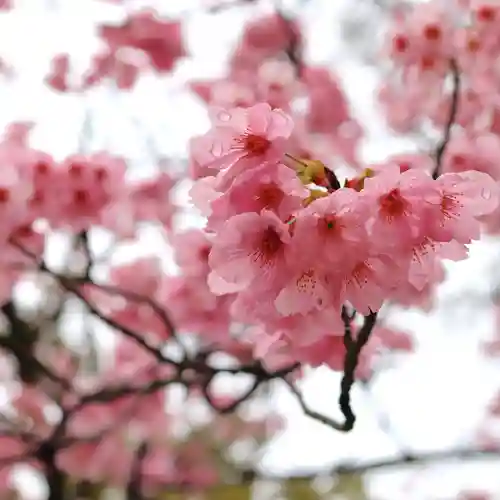 三津厳島神社(愛媛県)