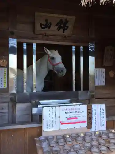 多度大社の動物