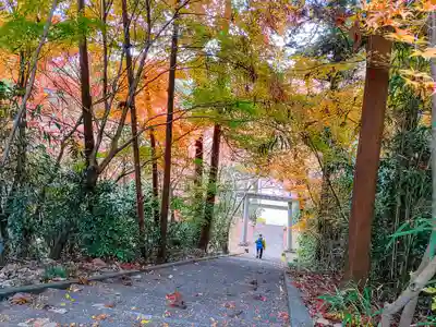 熊野社のその他建物