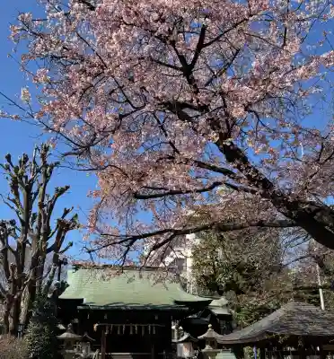 五條天神社の{uncategorized: "未分類", other: "その他", undefined: "問題あり", building: "その他建物", grave: "お墓", sacred_gate: "鳥居", guardian: "狛犬", statue: "像", buddha: "仏像", history: "歴史", nature: "自然", garden: "庭園", animal: "動物", pagoda: "塔", temizu: "手水舎", mountain_gate: "山門・神門", sanctuary: "本殿・本堂", subordinate: "末社・摂社", art: "芸術", scenery: "景色", jizo: "地蔵", ema: "絵馬", goshuin: "御朱印", omikuji: "おみくじ", items: "授与品その他", amulet: "お守り", goshuincho: "御朱印帳", eats: "食事", festival: "お祭り", votive_dance: "神楽", shichigosan: "七五三参", wedding: "結婚式", experience: "体験その他", initially: "初詣", around: "周辺", anti_infection: "感染症対策"}