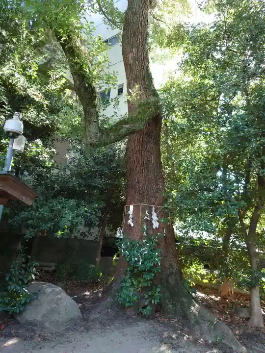 三篠神社の自然