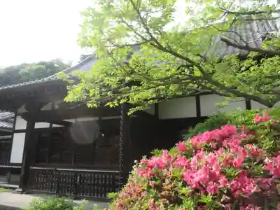 浄光明寺(神奈川県)