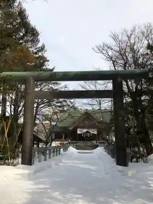 信濃神社の鳥居
